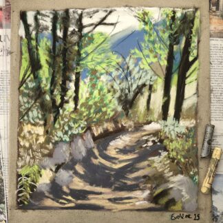 Forêt dans les Pyrénées 30x40cm Encadré